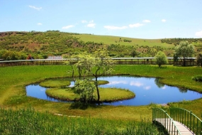 Mesleki Yeterlilik Belgesi Bingöl - Galeri Görseli
