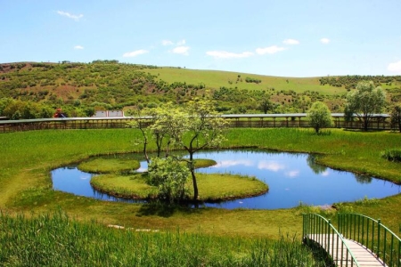 Mesleki Yeterlilik Belgesi Bingöl